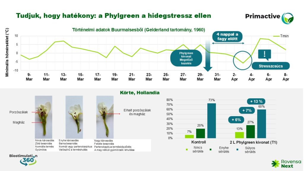 Tudjuk, hogy hatékony: a Phylgreen a hidegstressz ellen